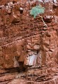 Ormiston Gorge_20070913_091